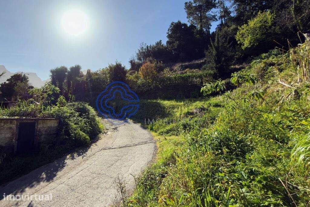 Terreno Rústico em Espaço Florestal Misto — Achada do Loural, São Vice - Grande imagem: 4/10