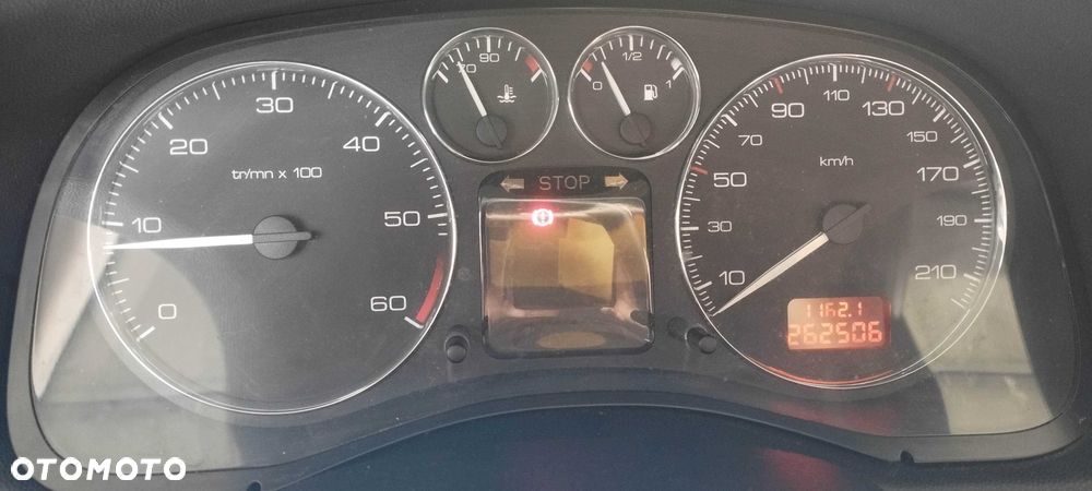 Peugeot 307 - 6