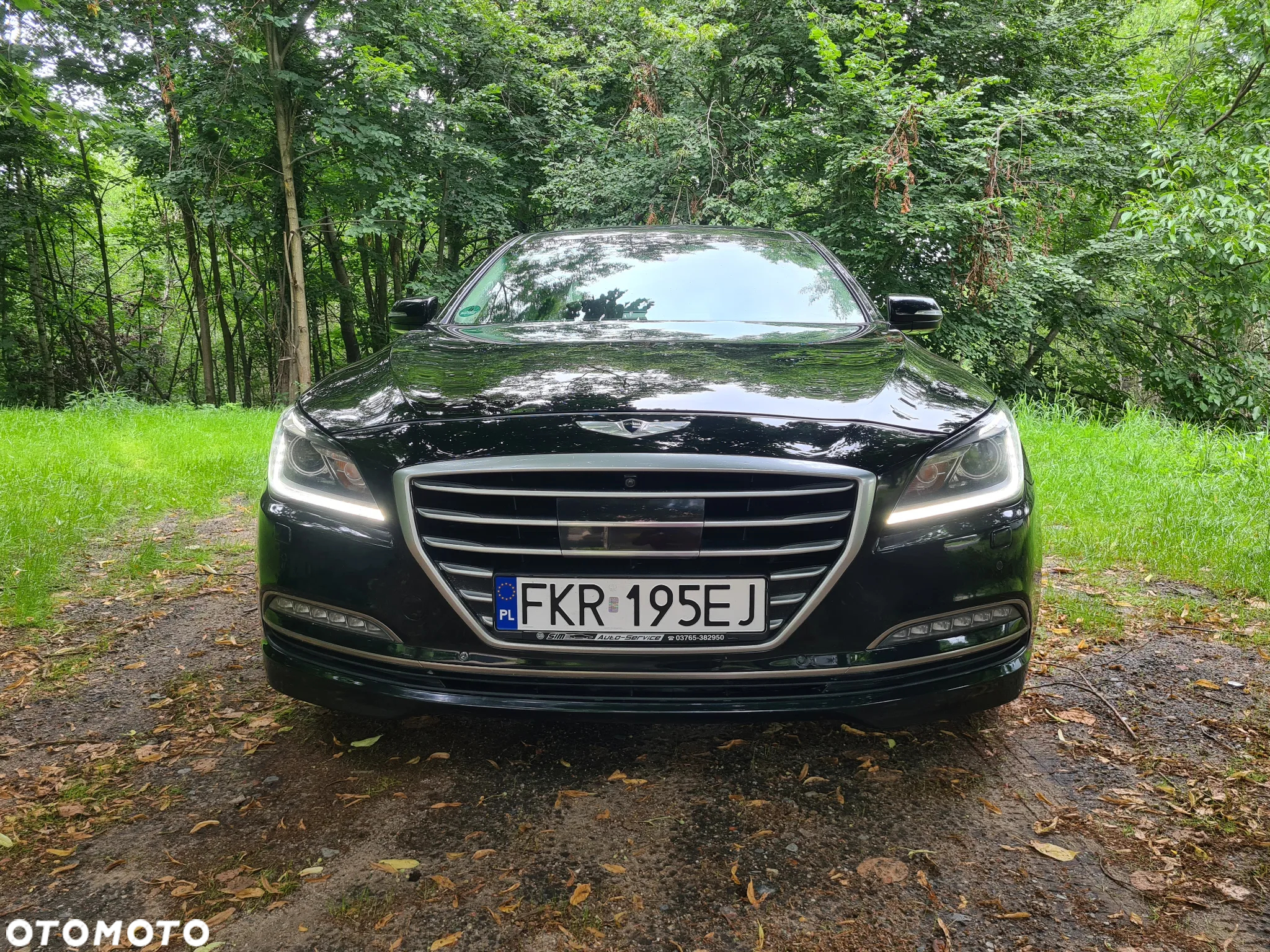 Genesis G80 - 19