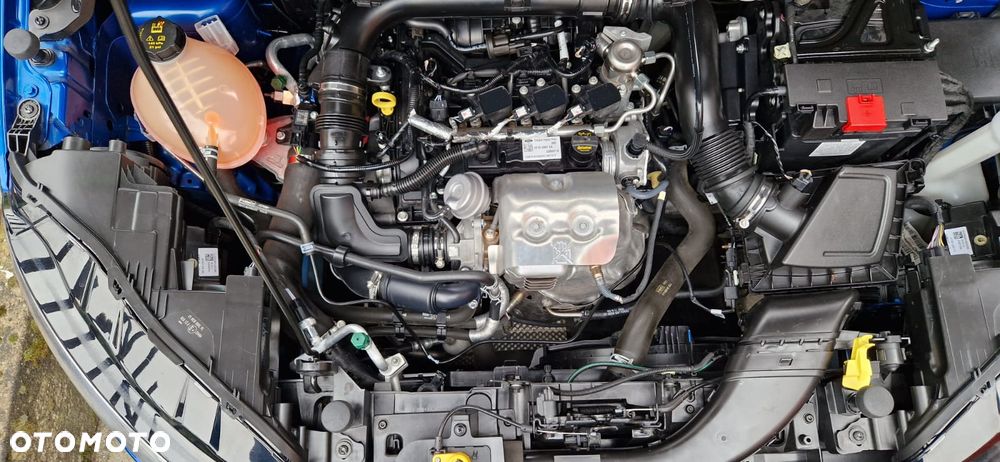 Ford EcoSport 1.0 EcoBoost GPF Trend ASS - 8