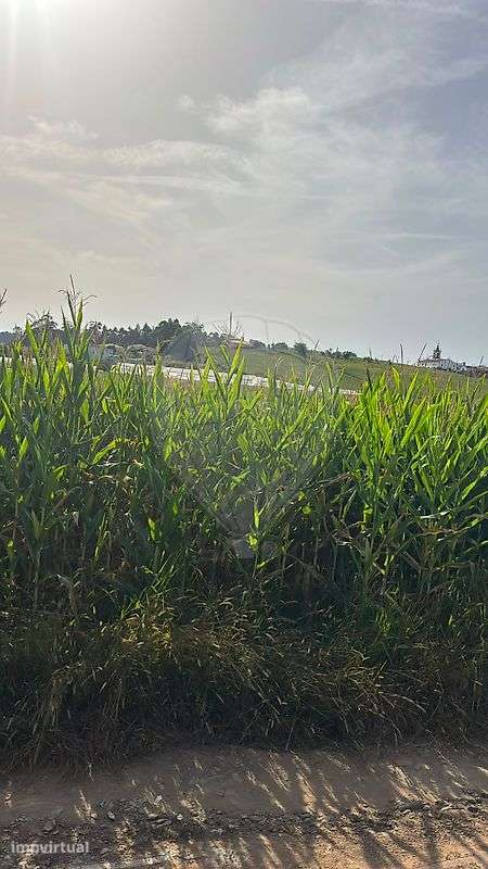 Terreno  para venda - Grande imagem: 4/8