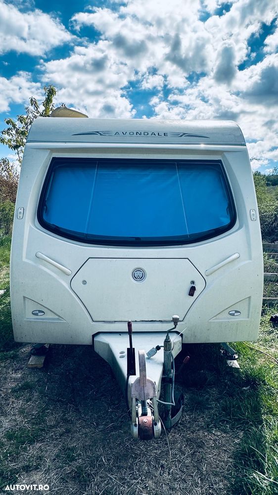 Bailey Avondale - 19