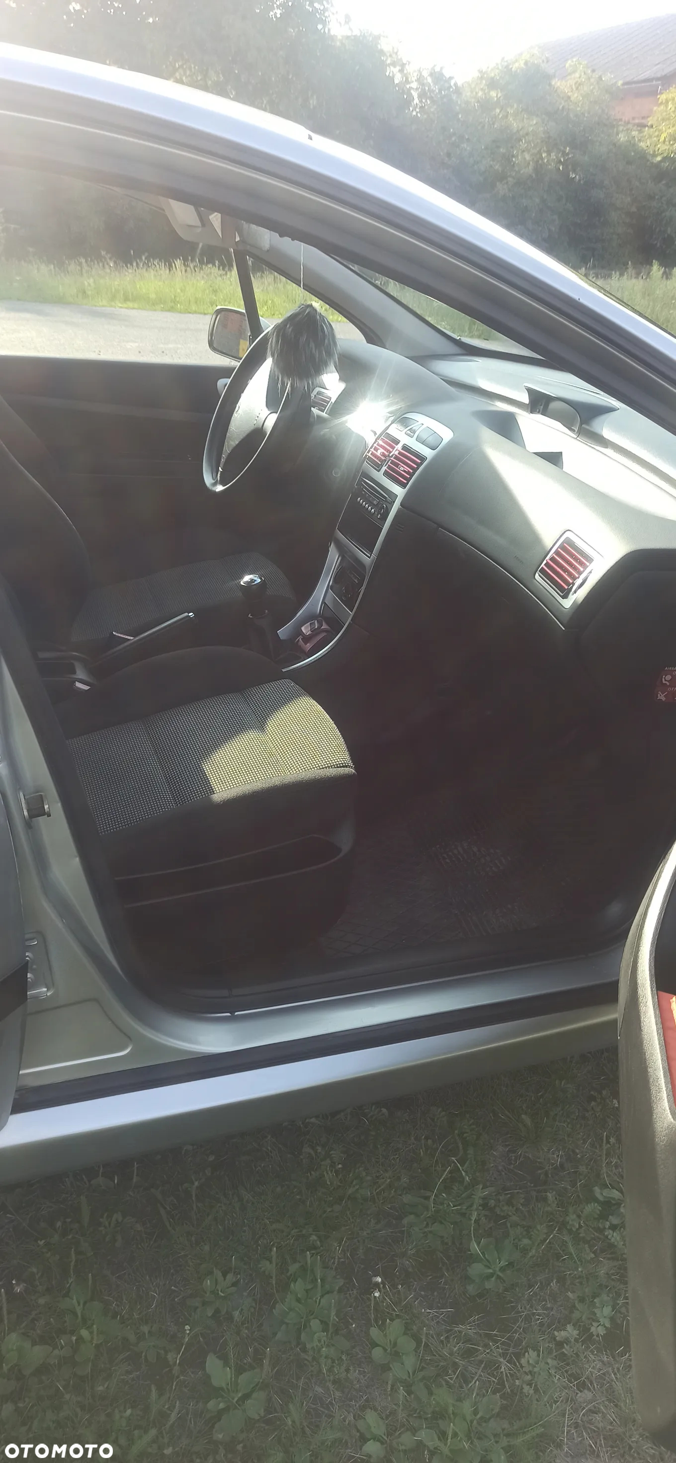 Peugeot 307 - 11