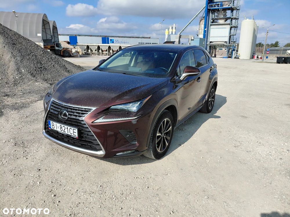 Lexus NX 300 Business Edition AWD - 2