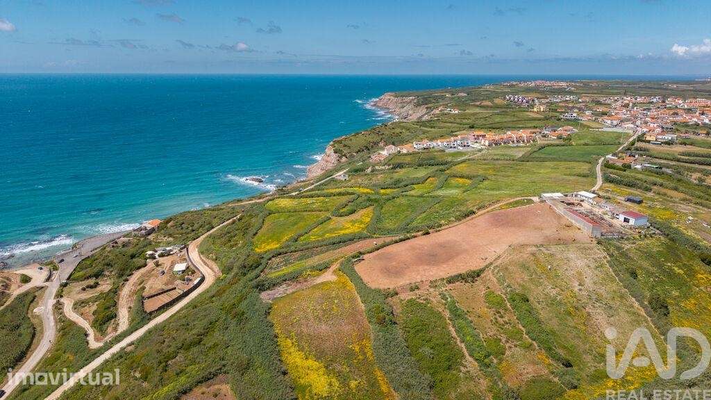 Terreno Agrícola em São Pedro da Cadeira - Grande imagem: 2/27
