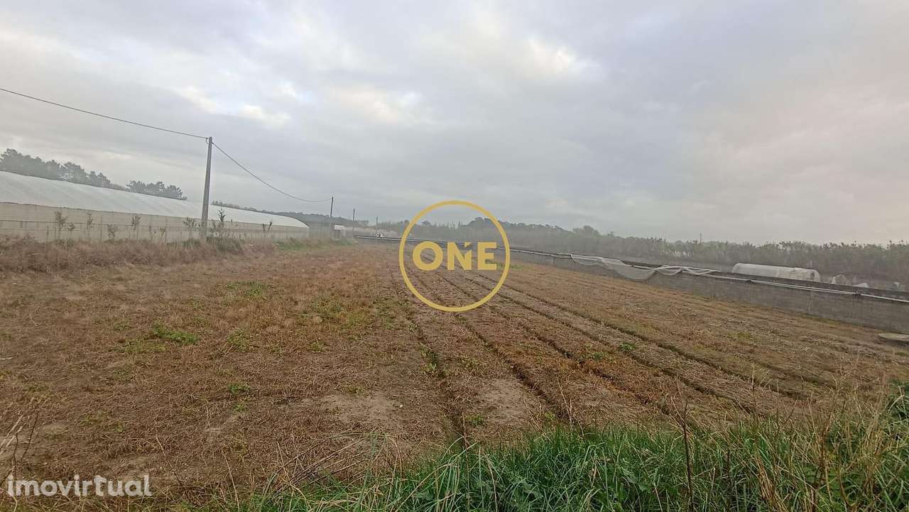 Terreno rústico de Apúlia, Esposende - Grande imagem: 2/10