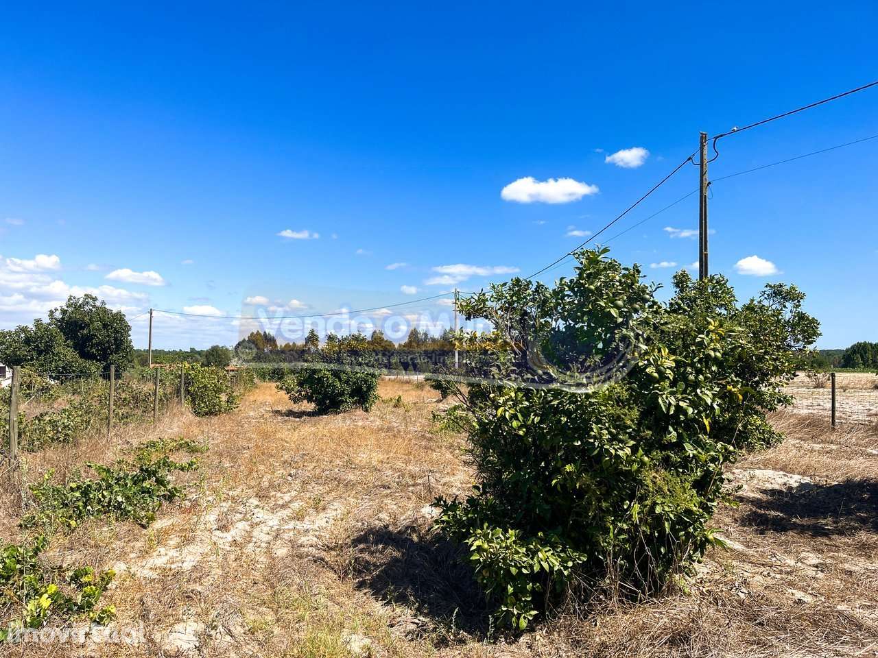 Terreno Rústico em Várzea Fresca (F787) - Grande imagem: 3/9