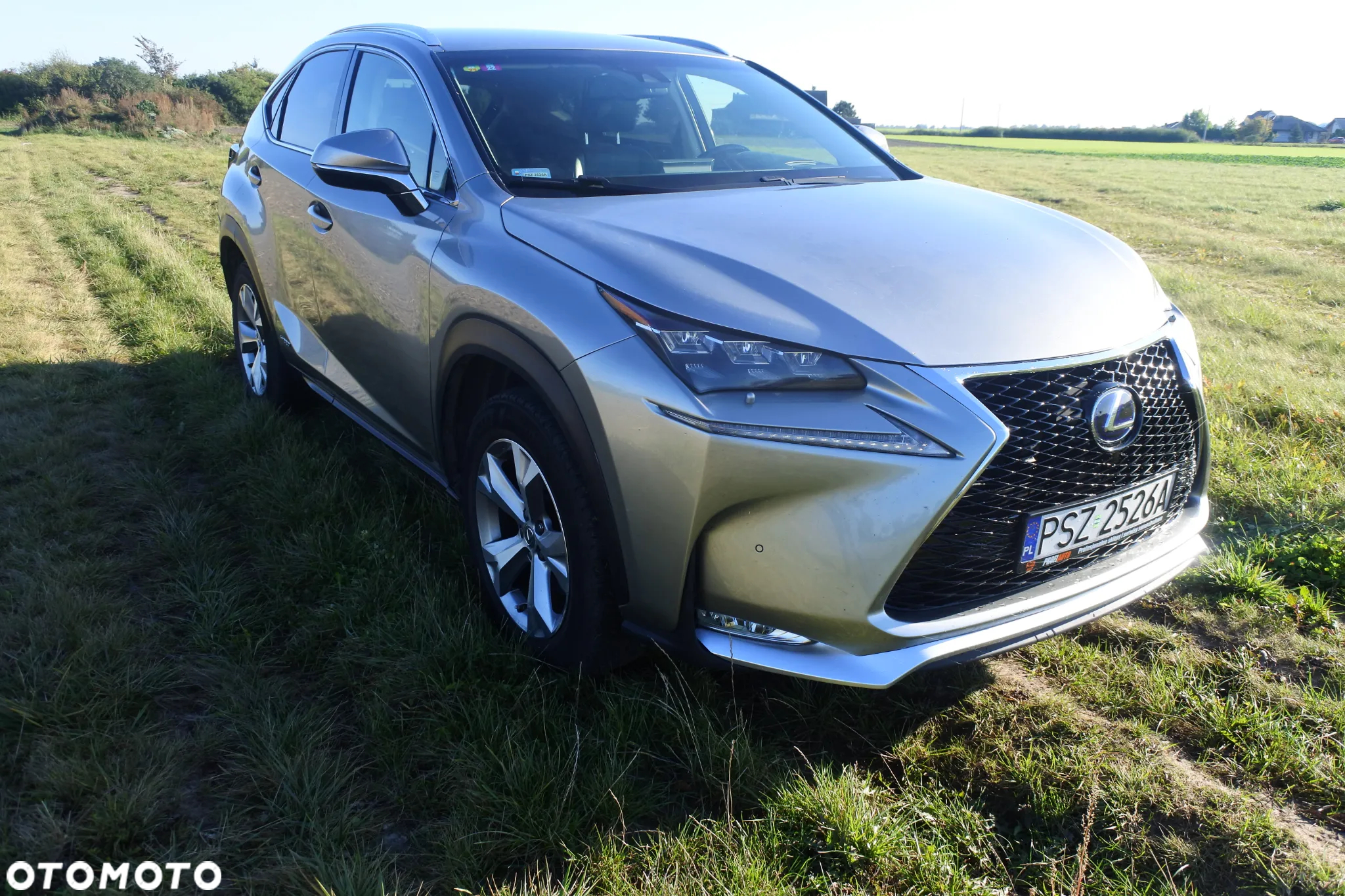 Lexus NX - 3