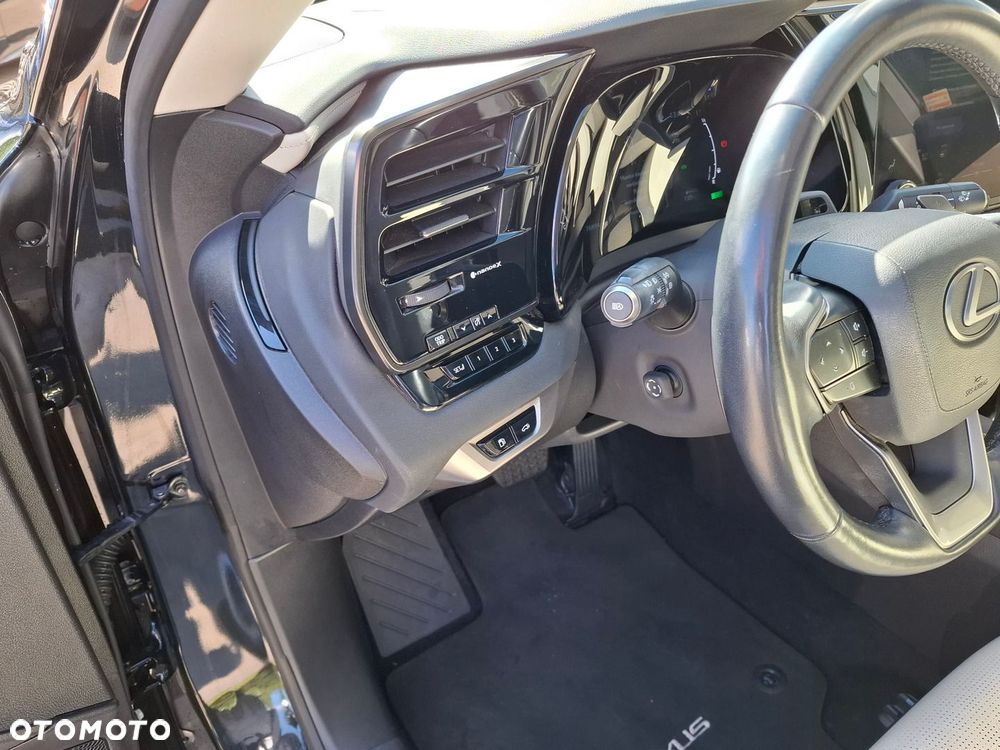 Lexus RX - 13