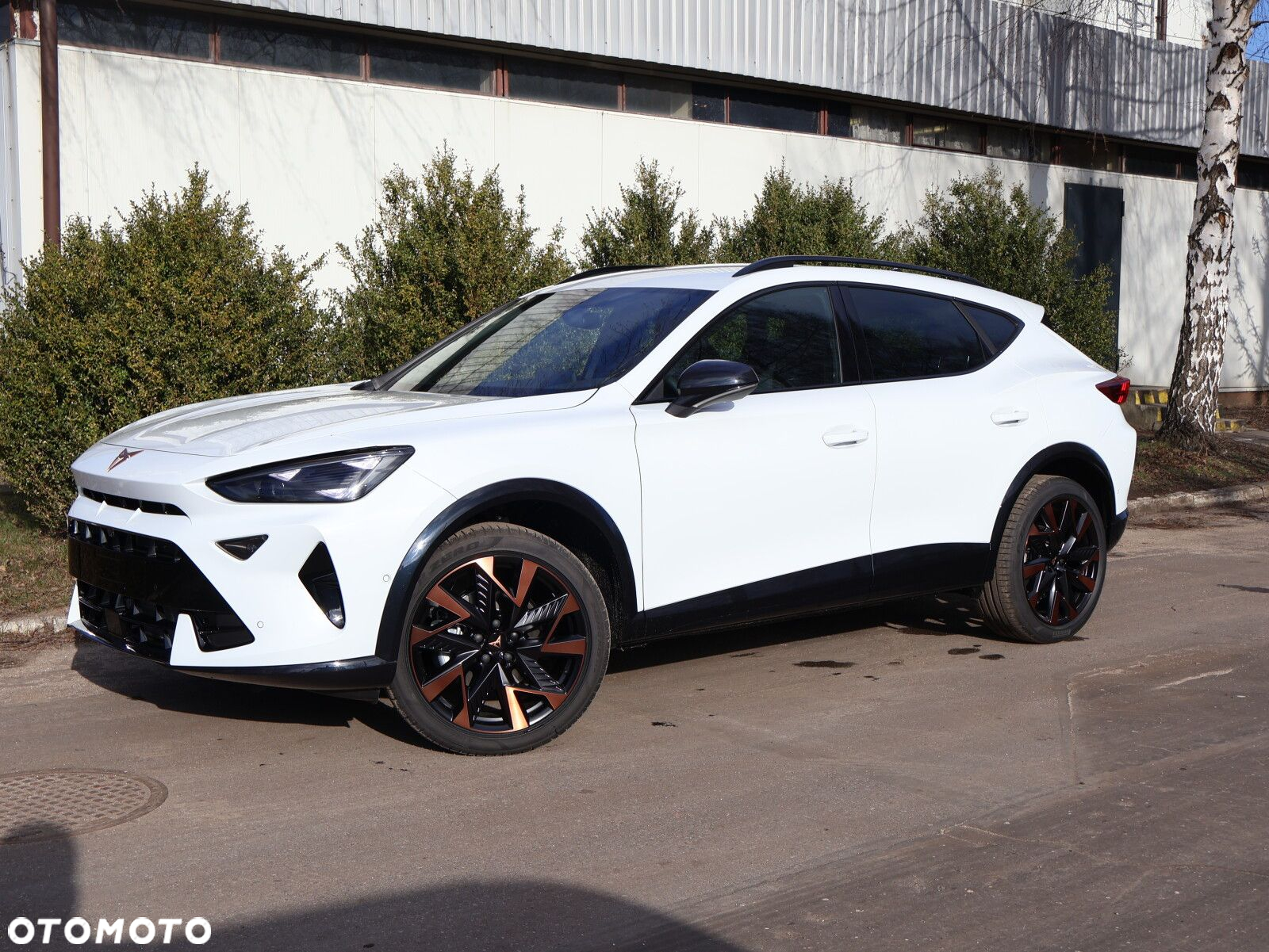 Cupra Formentor 1.5 eTSI mHEV DSG - 3
