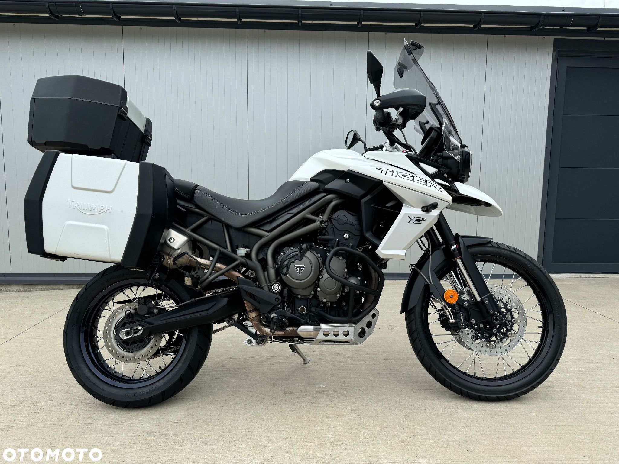 Triumph Tiger - 1