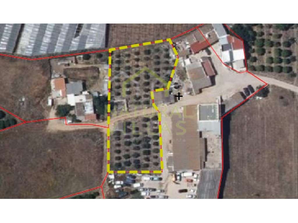 Terreno de 1.958m2 para arrendamento em Conceição, Faro - Grande imagem: 5/5