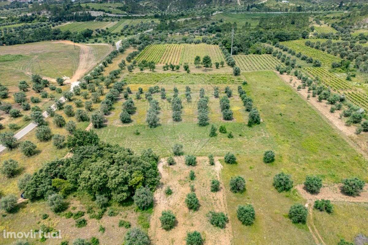 Terreno  para venda - Grande imagem: 5/12