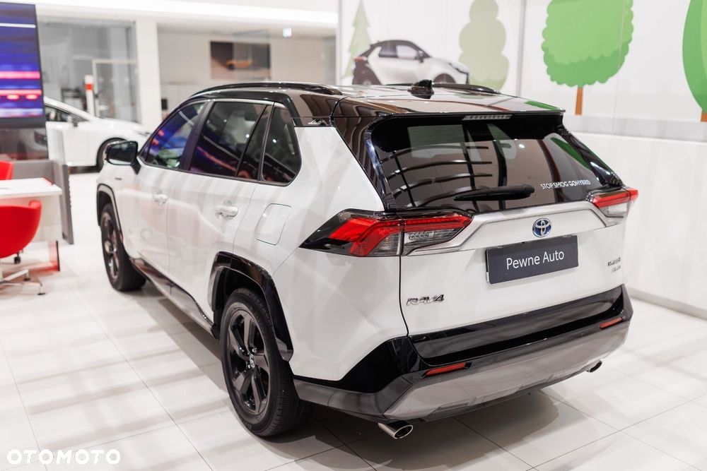 Toyota RAV4 - 10