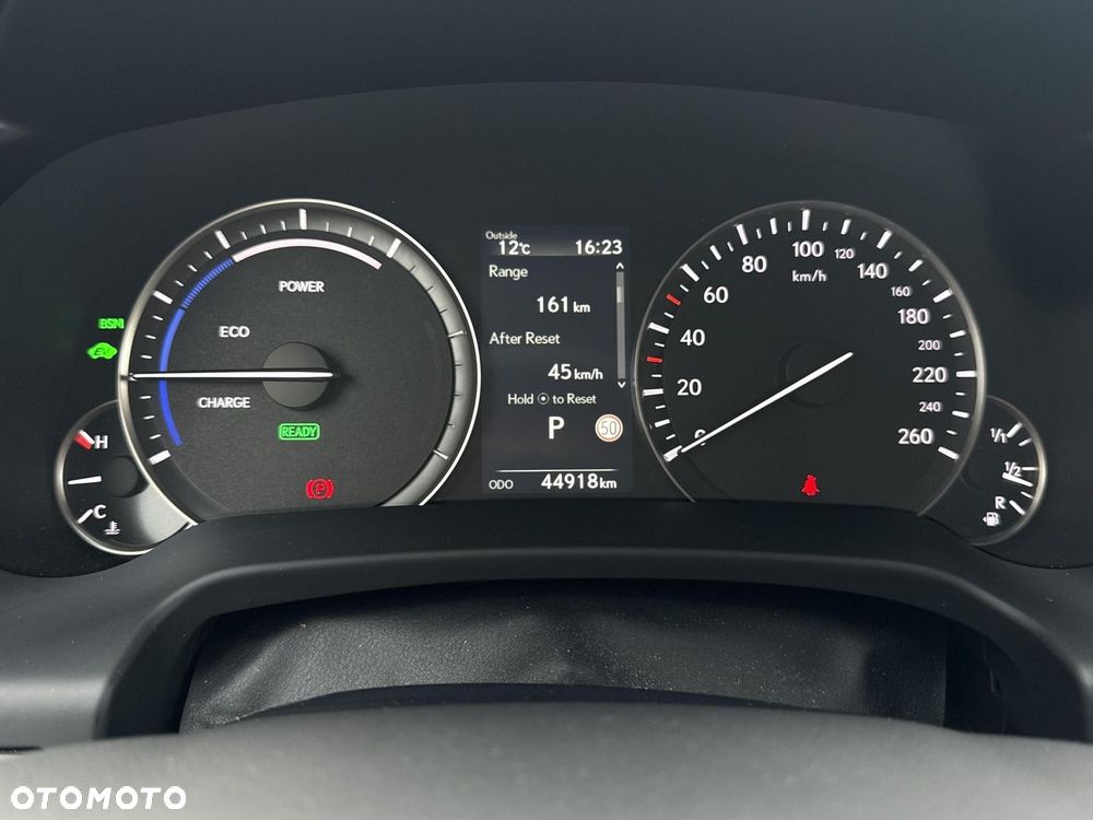 Lexus RX 450h F-Impression - 10