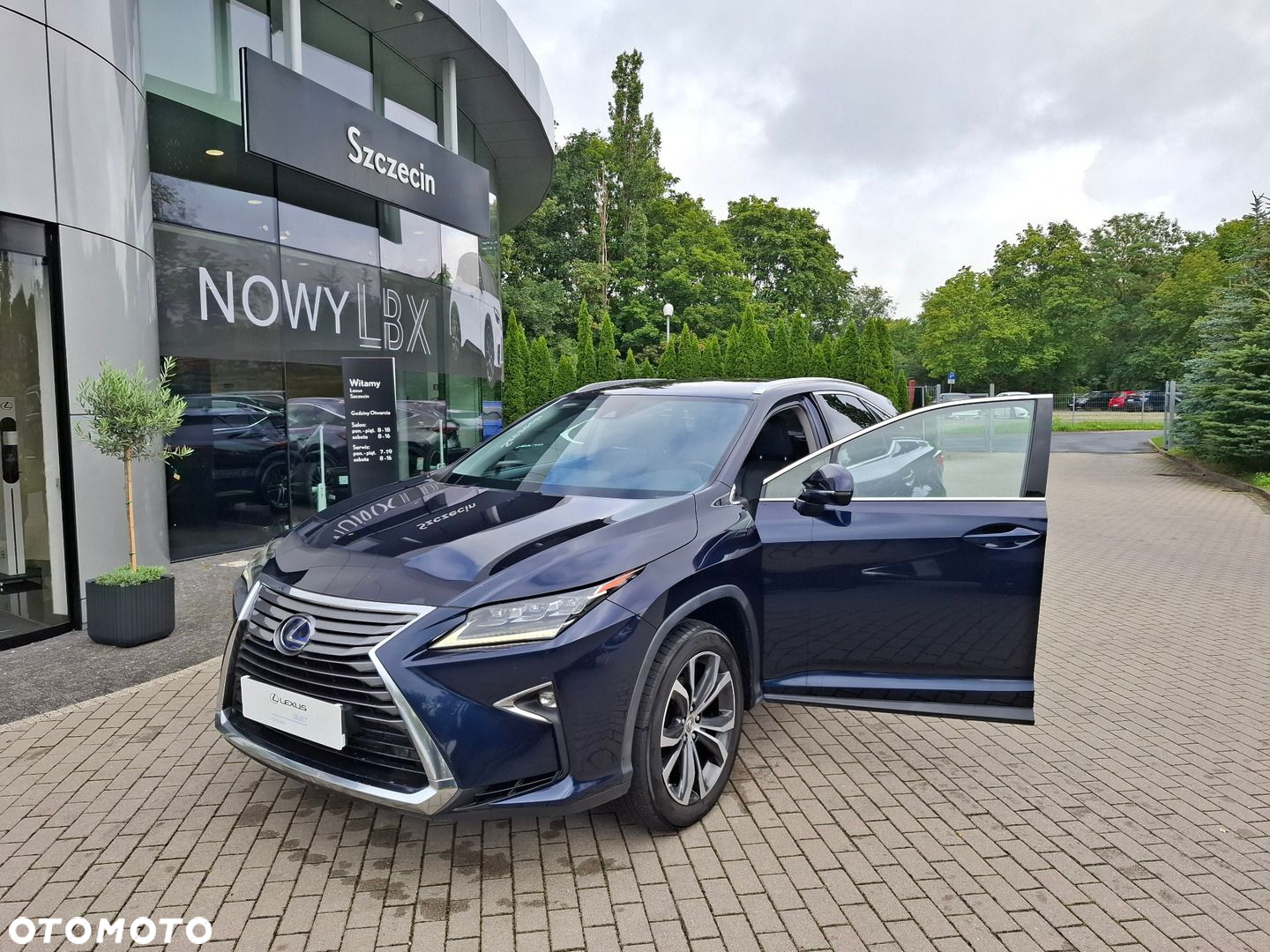 Lexus RX 450h Elegance MY19 - 9