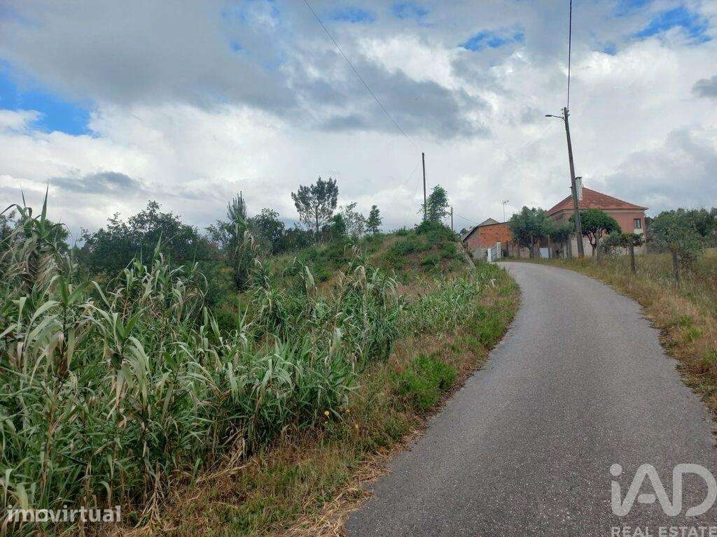 Terreno em Espite - Grande imagem: 5/17