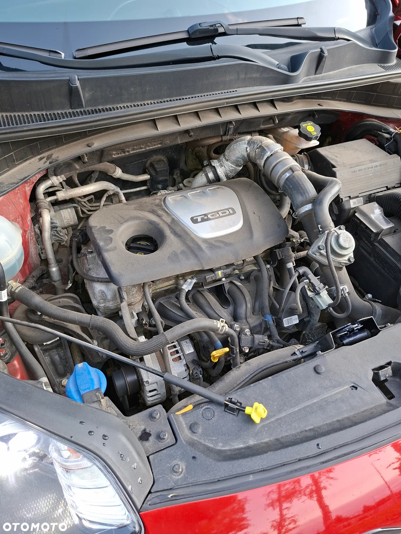 Kia Sportage 1.6 T-GDI Business Line 2WD - 12