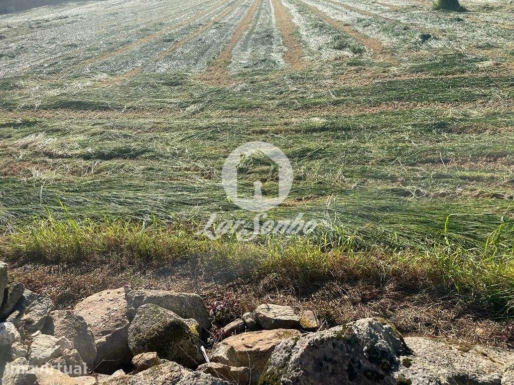 Terreno para construção de moradias com  2600 m2 de área total em A... - Grande imagem: 2/3