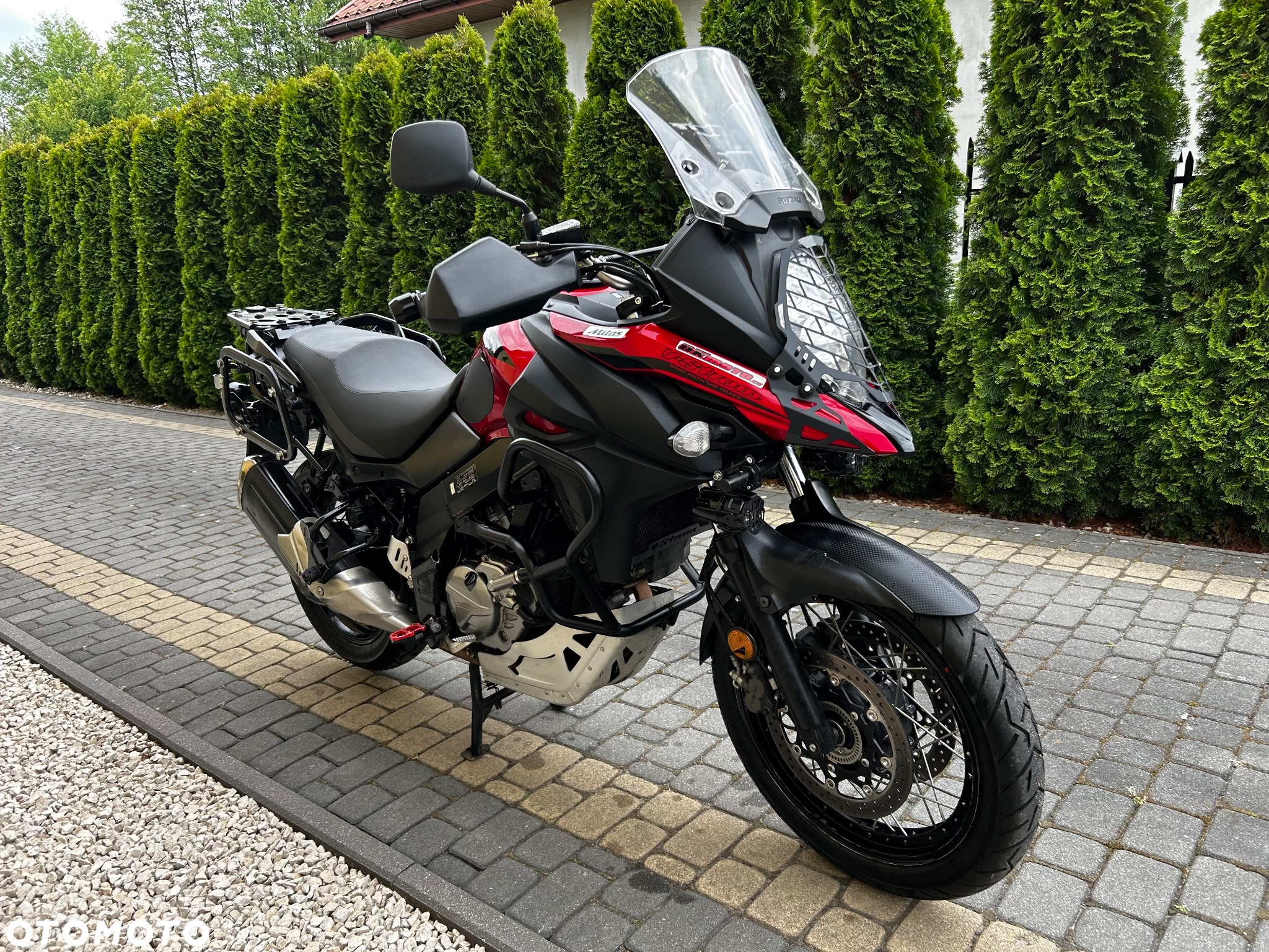 Suzuki DL