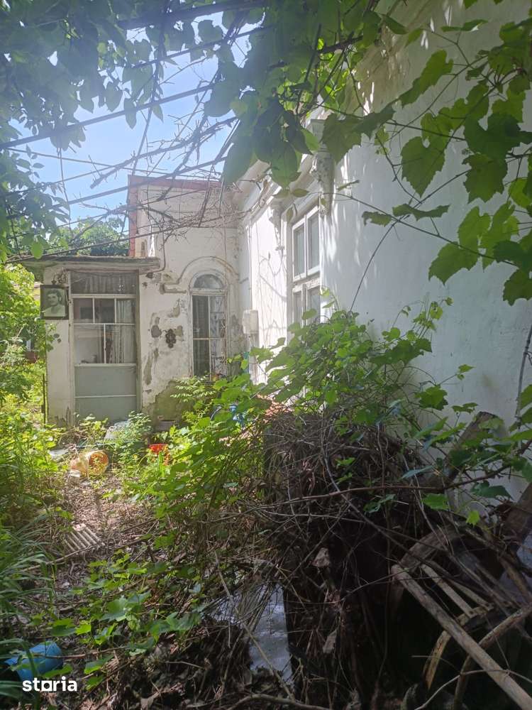 Ana Ipatescu, 230.000 euro - Imagine principală: 2/4