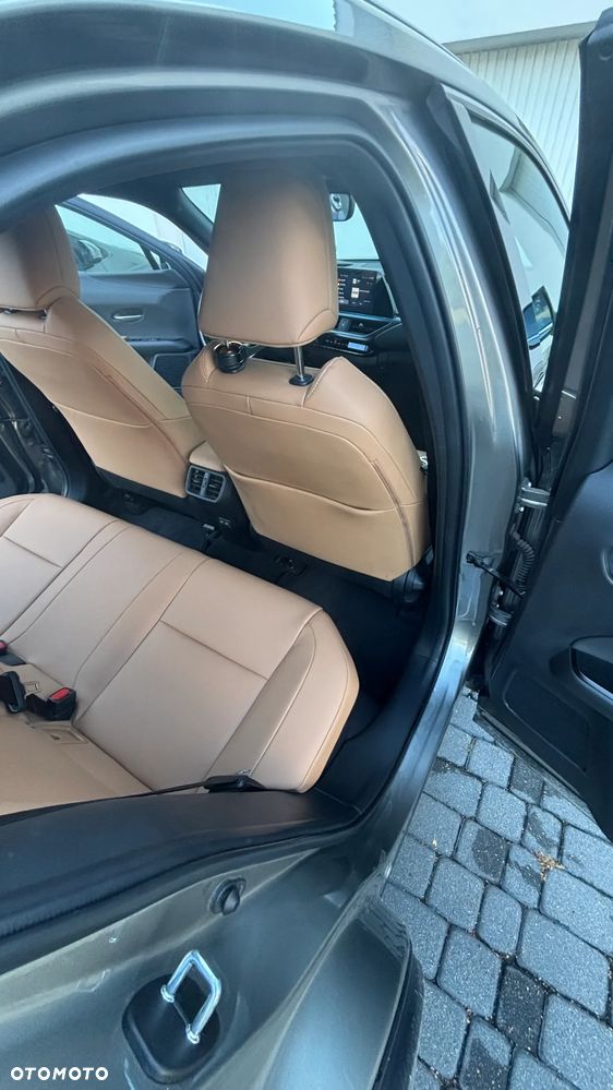 Lexus UX 250h GPF F Sport Design 2WD - 17