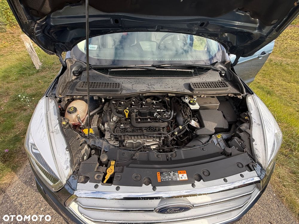 Ford Kuga - 13