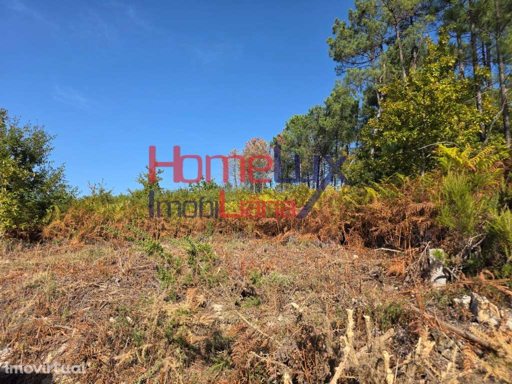 Terreno para venda em Castro Daire - Grande imagem: 2/9