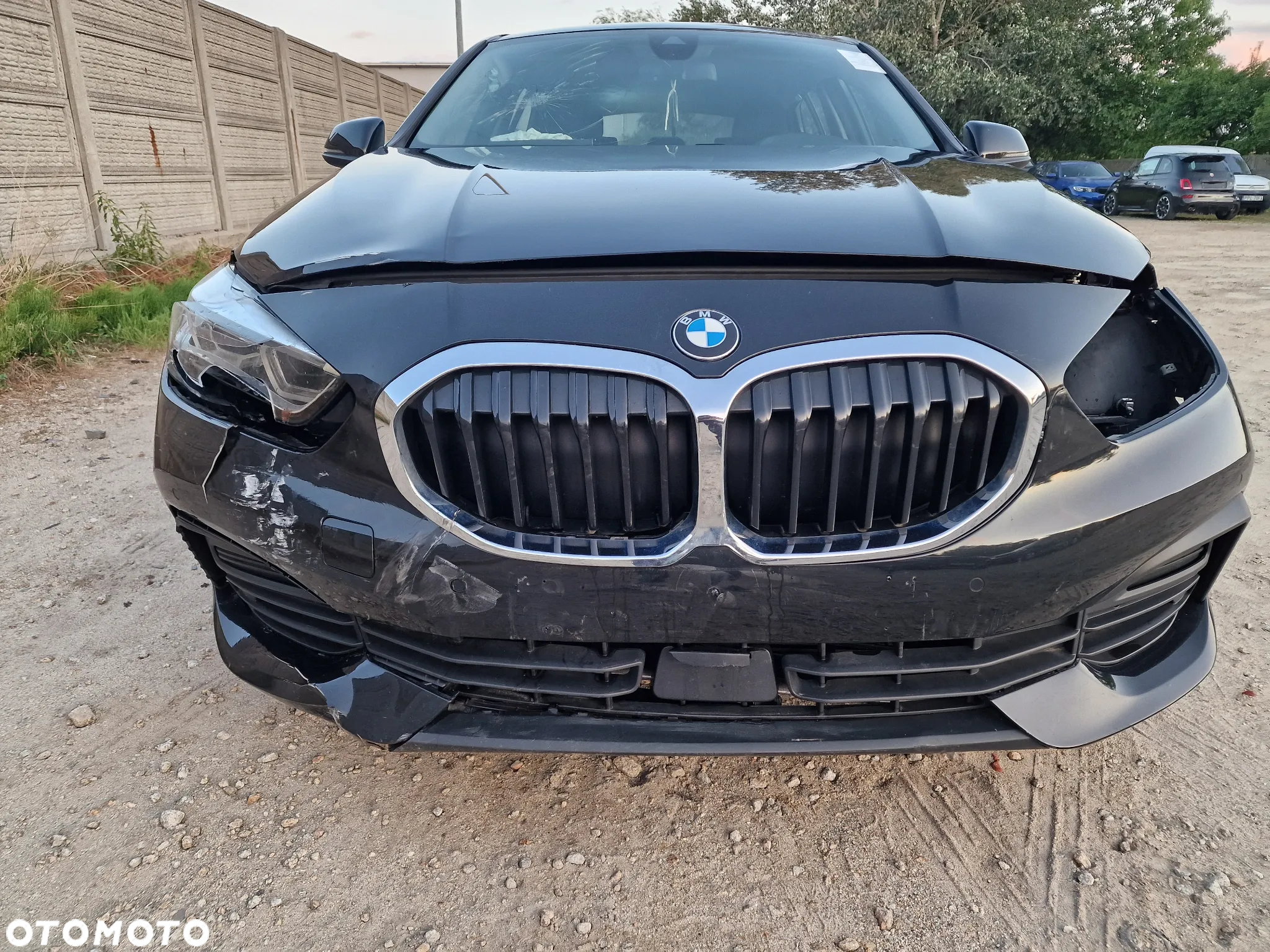 BMW Seria 1 116d Advantage - 20