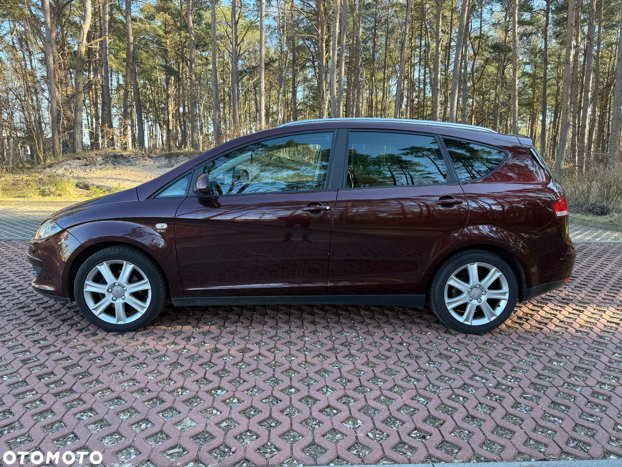 Seat Altea XL 1.4 TSI Reference Comfort - 2