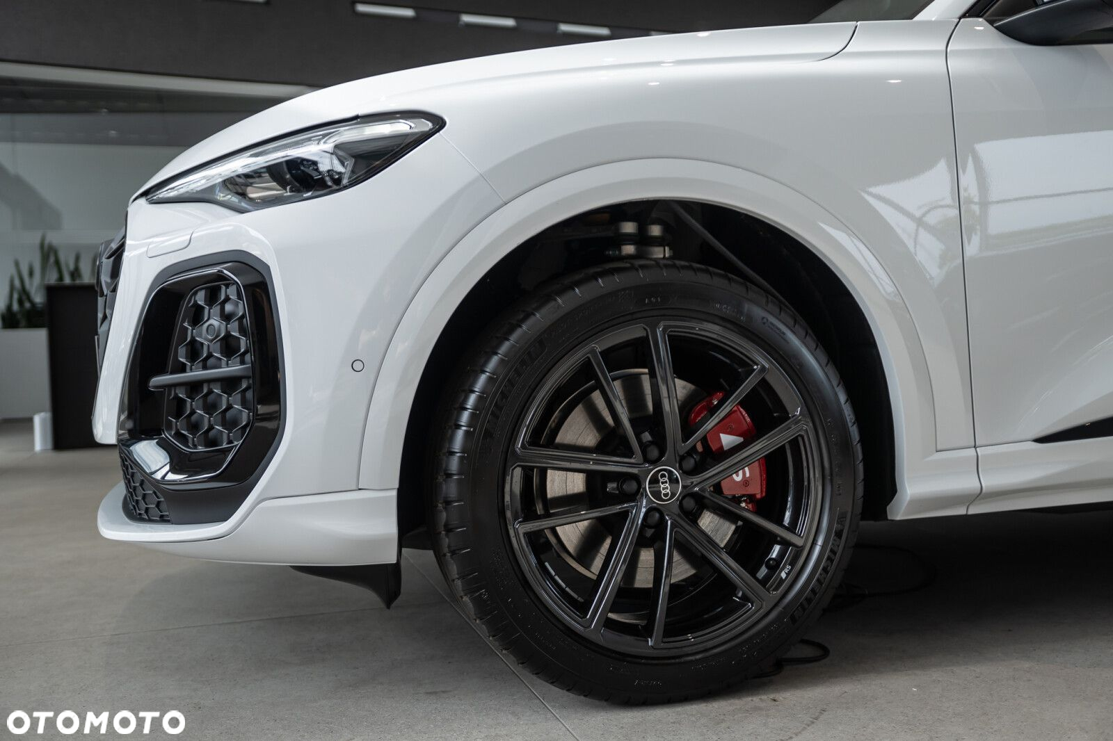 Audi SQ5 - 5