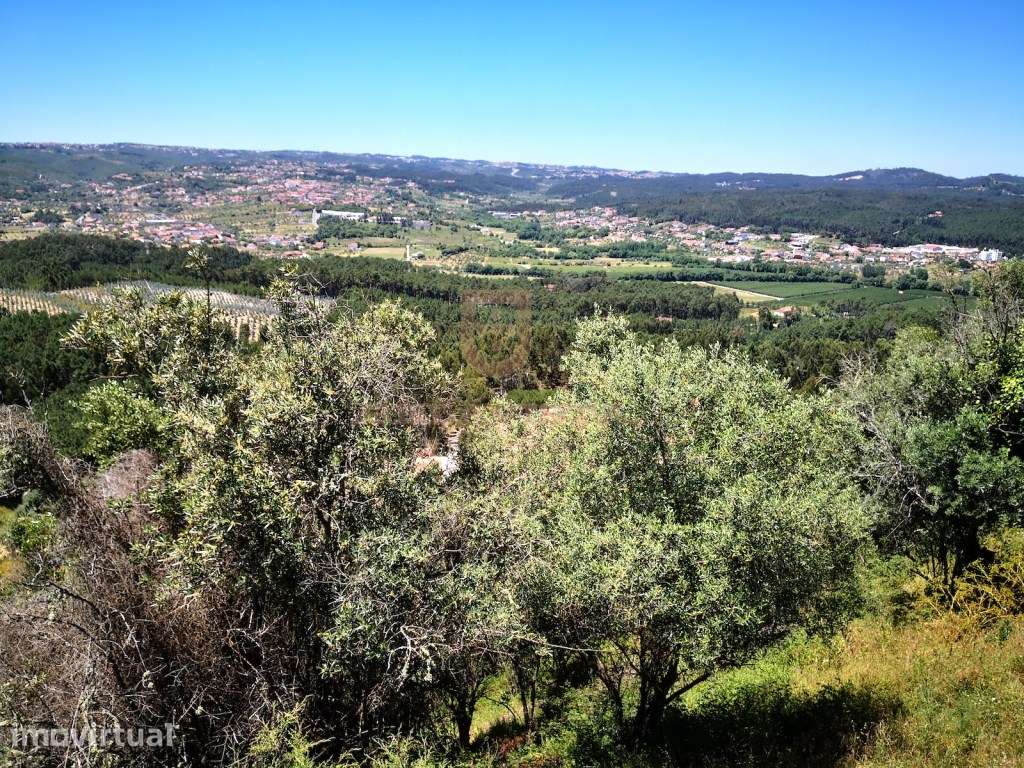Oportunidade único para construção nos castelos de Ourem com projet... - Grande imagem: 3/6