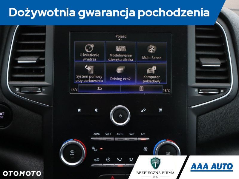 Renault Megane - 21