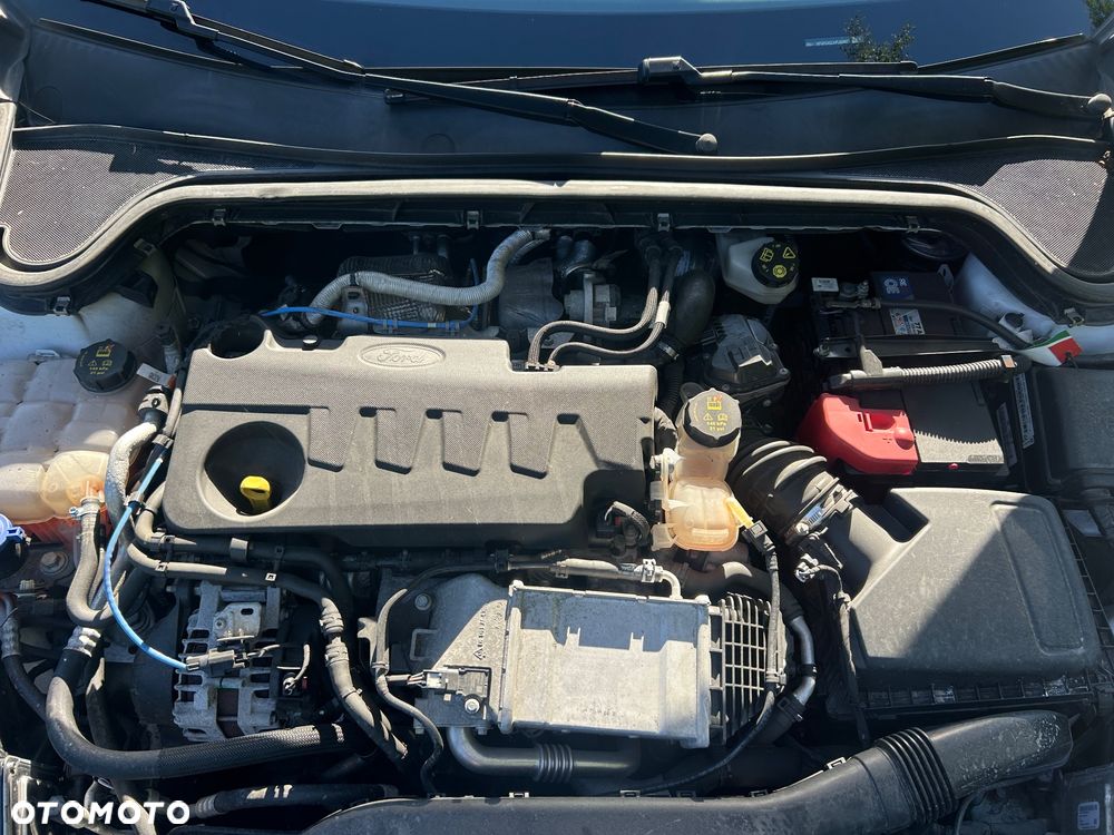 Ford Focus 2.0 EcoBlue Vignale - 25