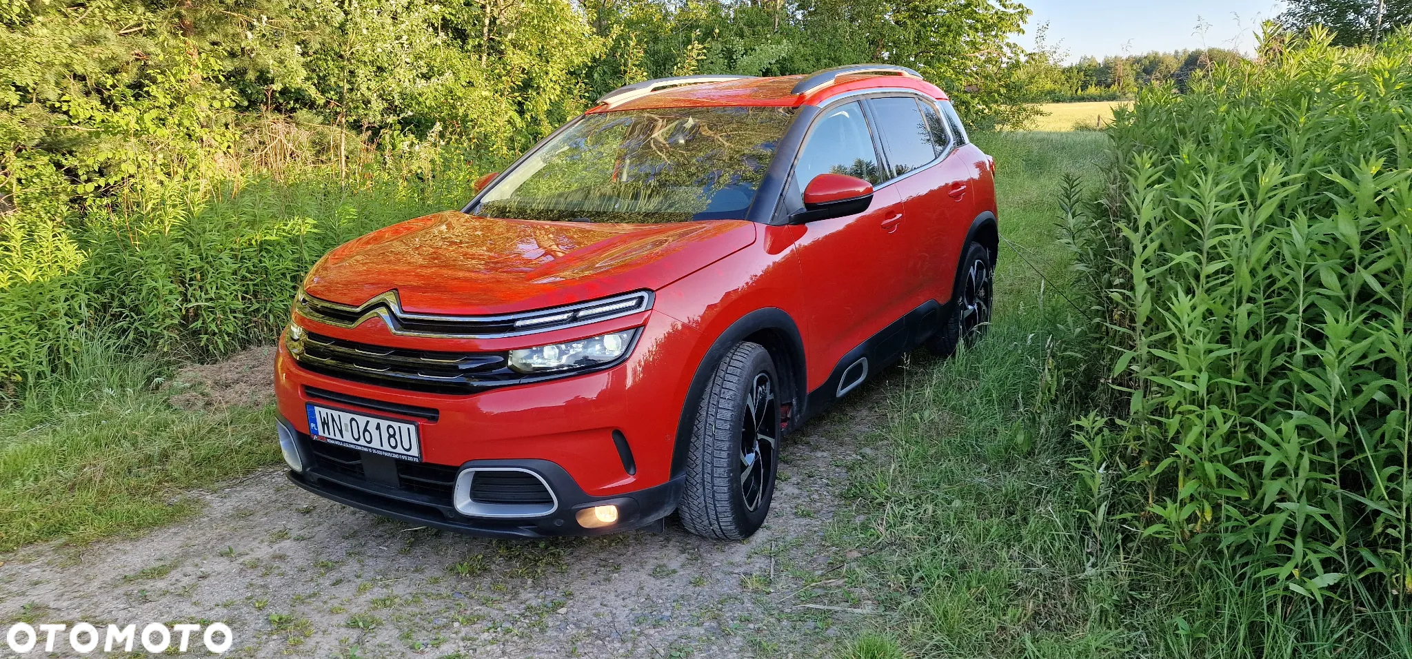 Citroën C5 Aircross 2.0 BlueHDi Shine EAT8 - 14