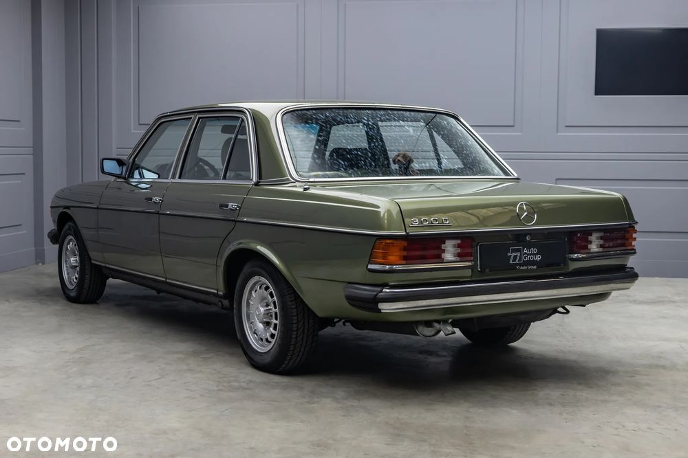 Mercedes-Benz W123 - 5