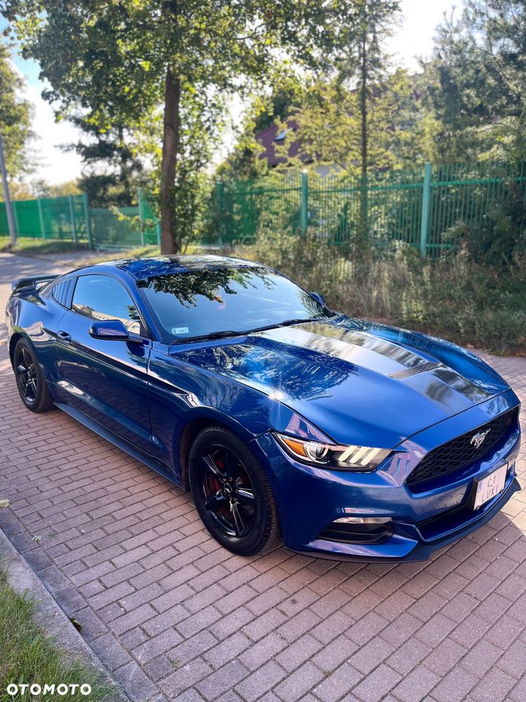 Ford Mustang 2.3 EcoBoost - 13