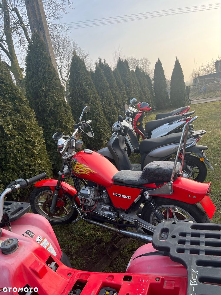 Ducati Monster - 5