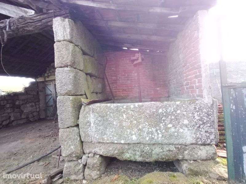 Casa com quintal - Grande imagem: 5/6