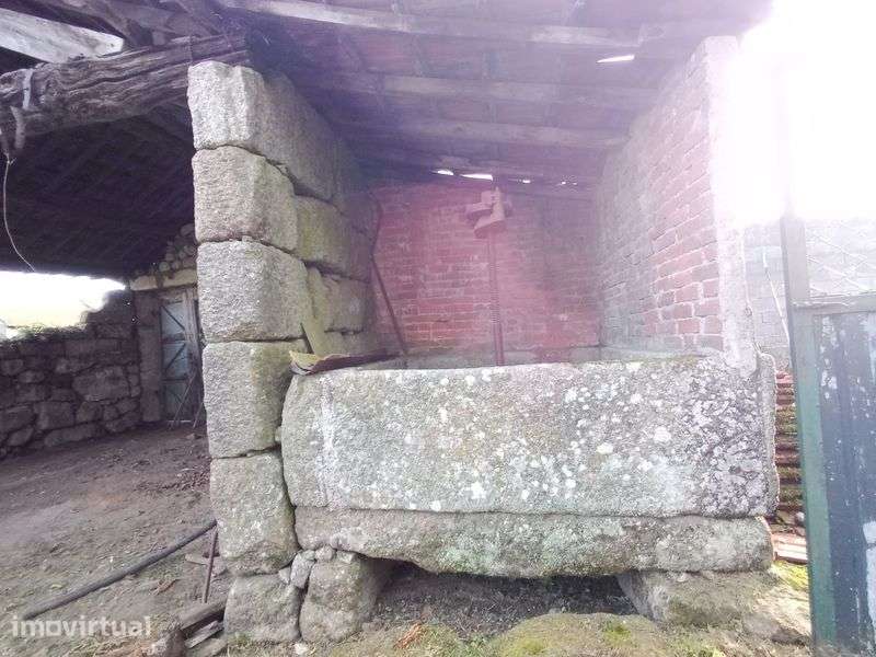 Casa com quintal - Grande imagem: 5/6