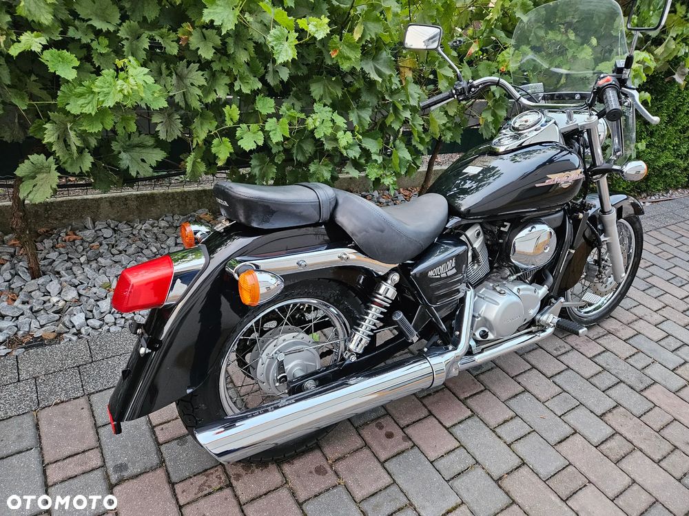 Honda Shadow - 6