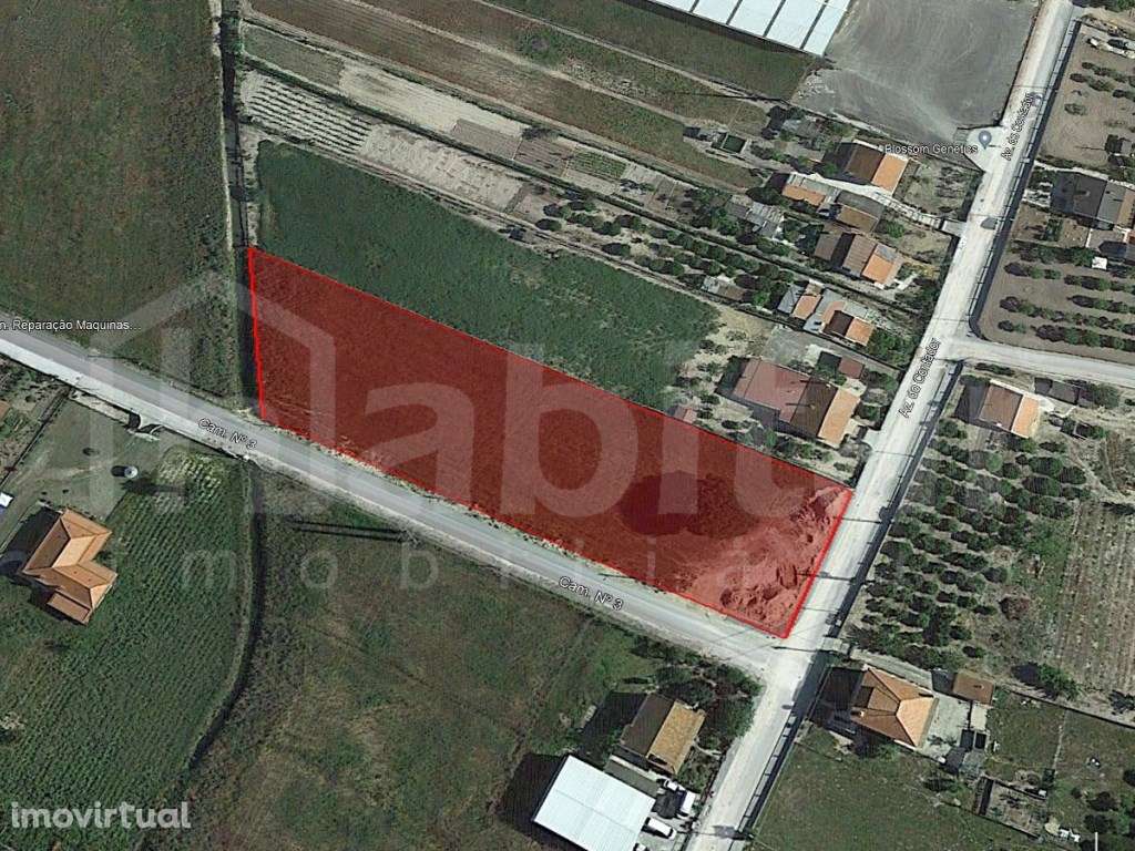 LOTE DE TERRENO INDUSTRIAL - Grande imagem: 2/5