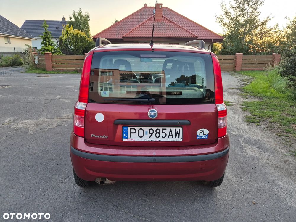 Fiat Panda 1.2 Dynamic - 3