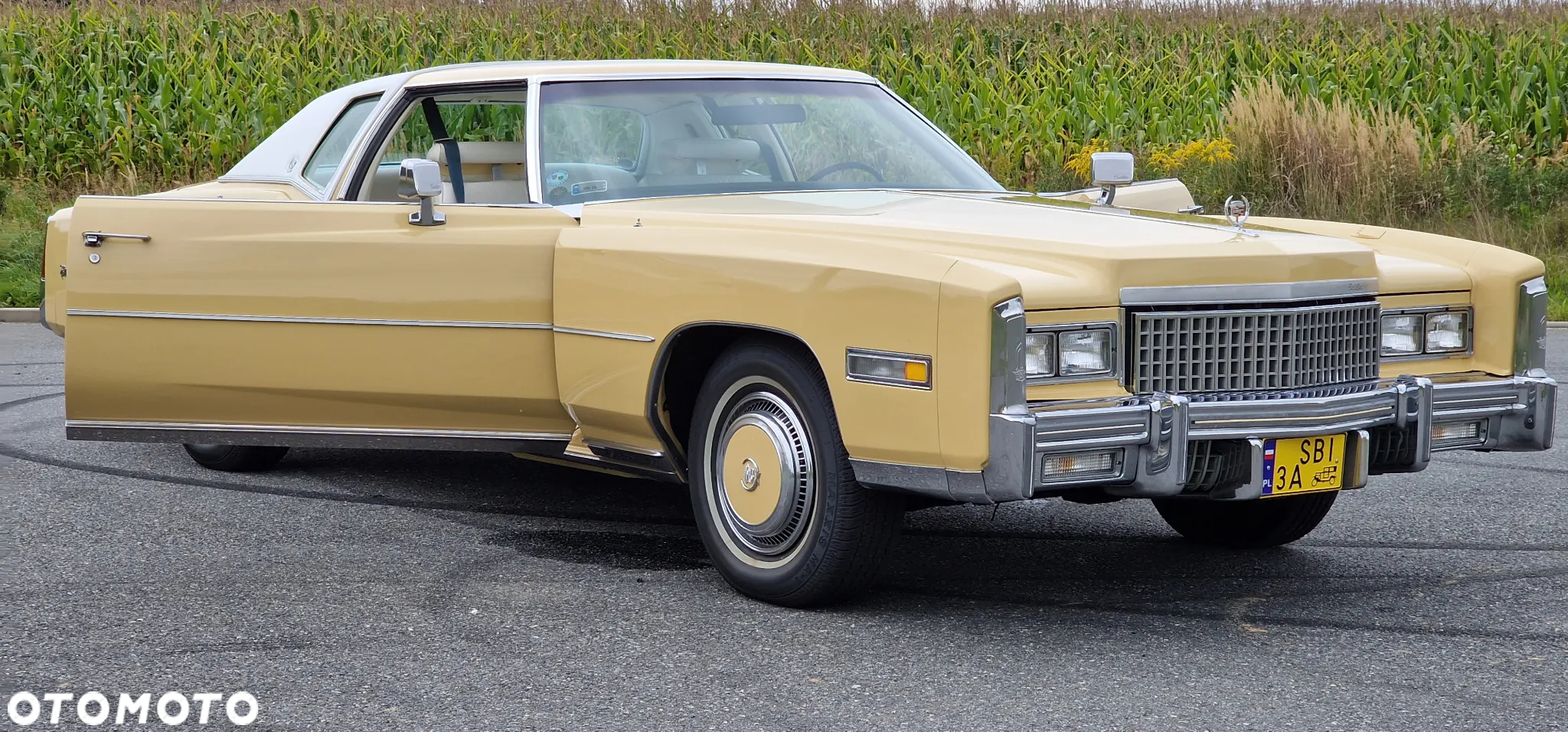 Cadillac Eldorado - 25