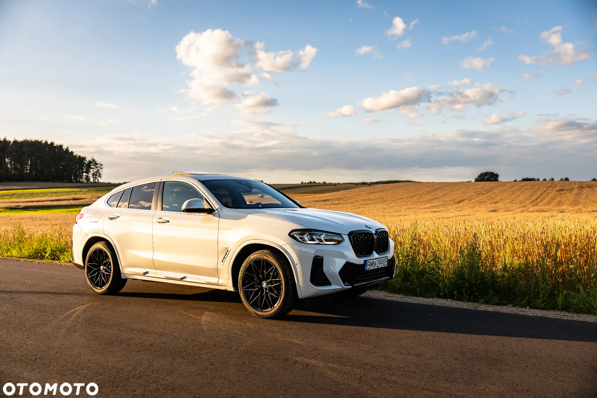 BMW X4 xDrive30i M Sport X - 8