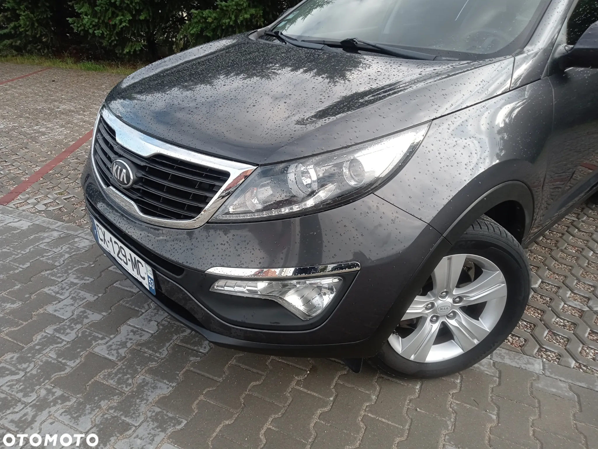 Kia Sportage 1.6 GDI 2WD Dream-Team Edition - 3