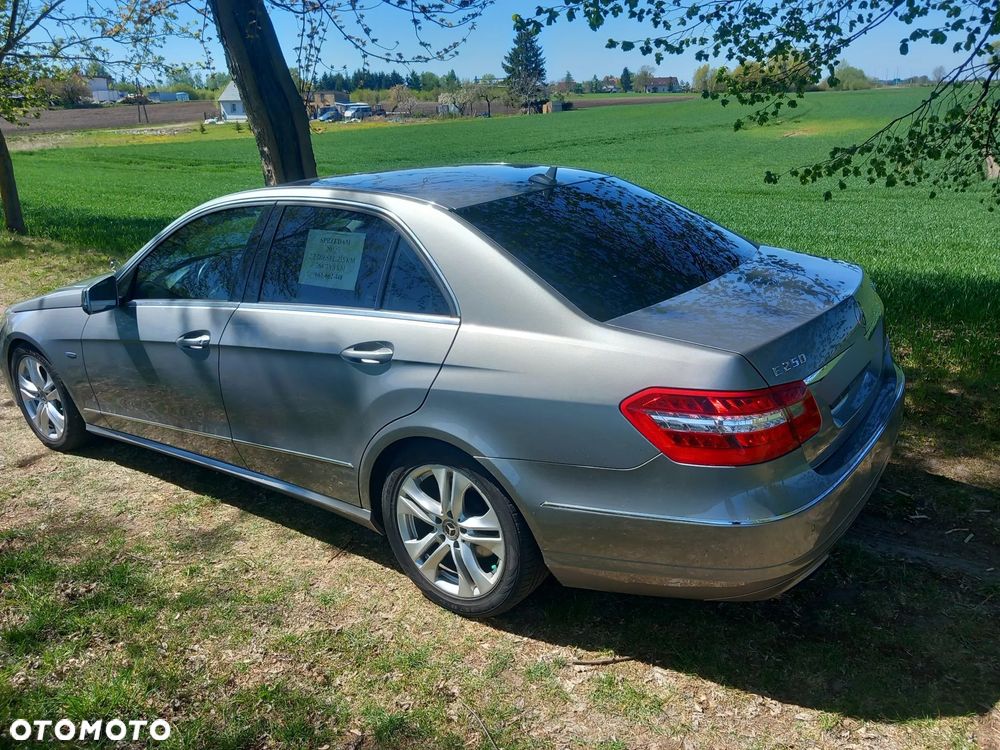 Mercedes-Benz Klasa E 250 CDI 4-Matic BlueEff Avantgarde - 29