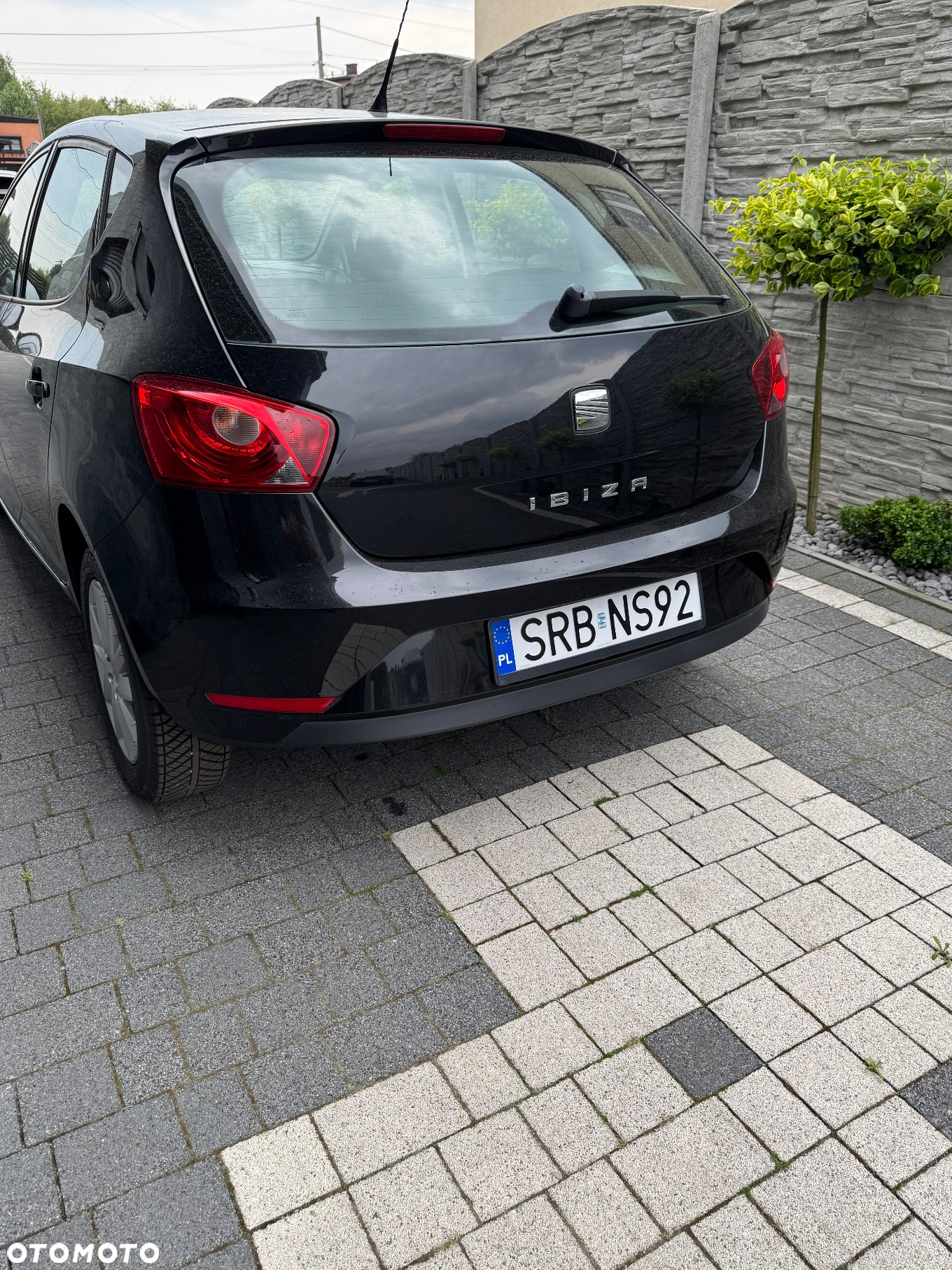 Seat Ibiza 1.2 12V Reference Viva - 2