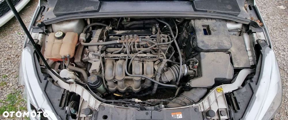 Ford Focus - 6