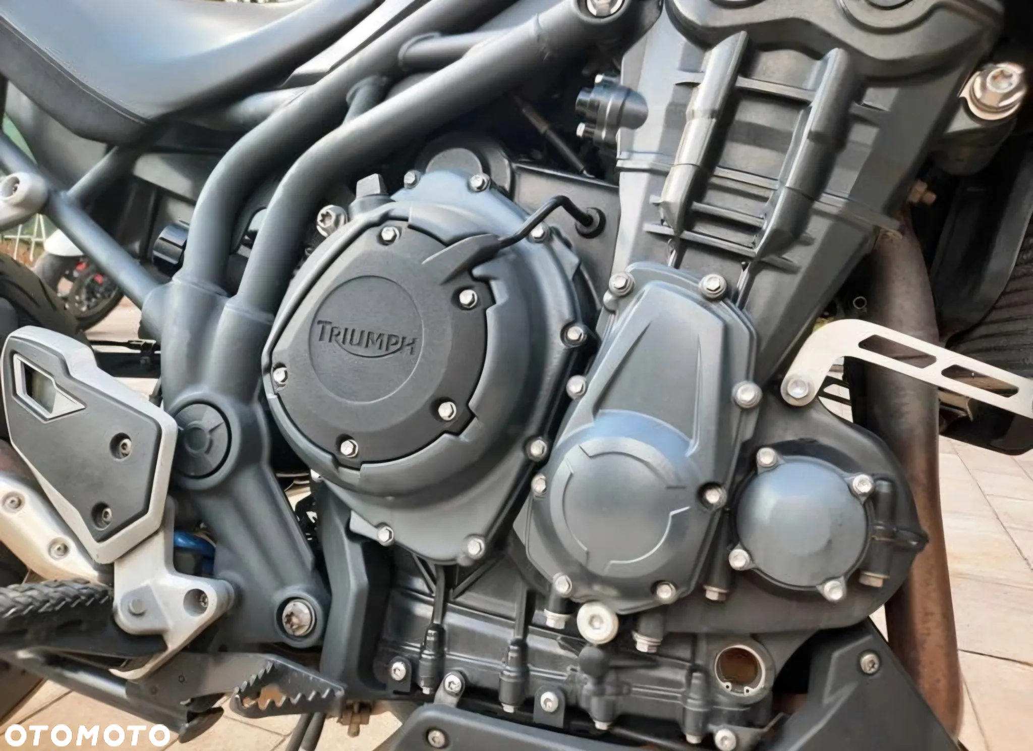 Triumph Tiger